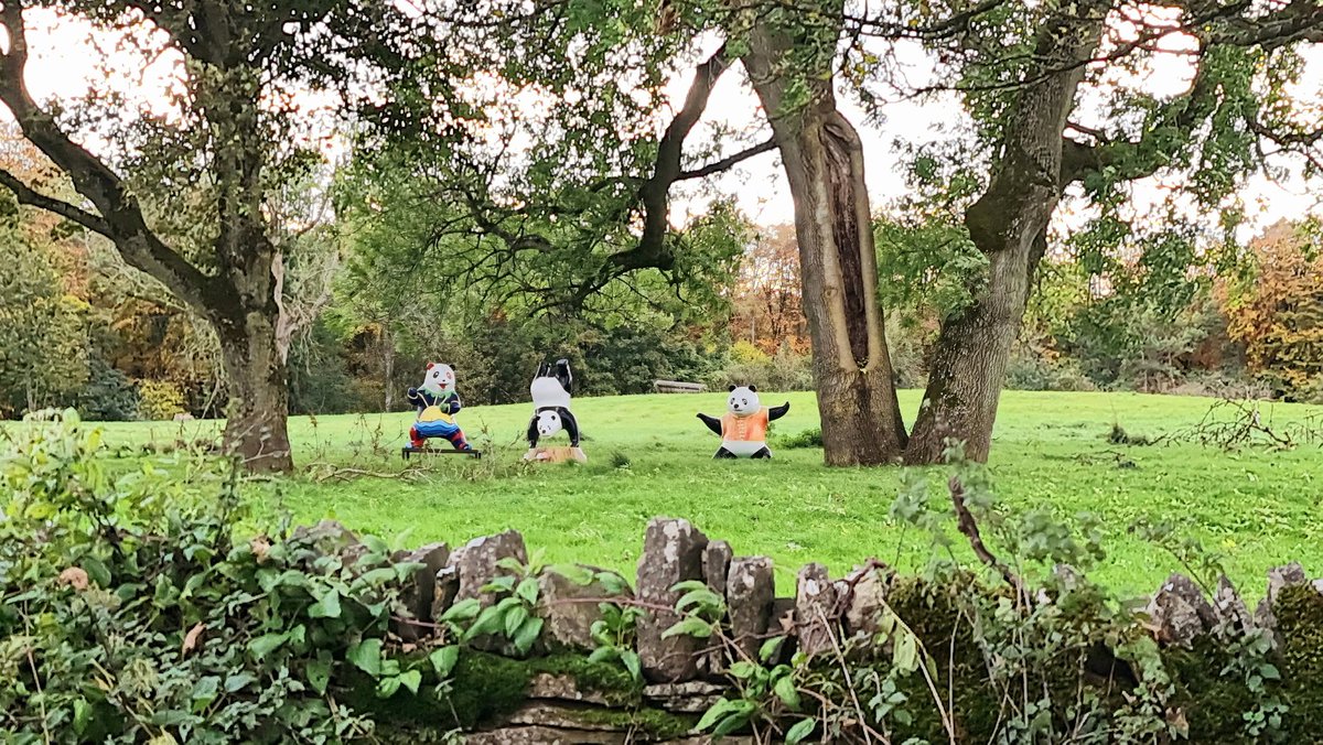 AdamLethbridge's tweet photo. @sjvn In a field near me here in West Oxfordshire (unexplained), perhaps dummies used in panda self-defence seminars? https://t.co/PSCrgDa1XY