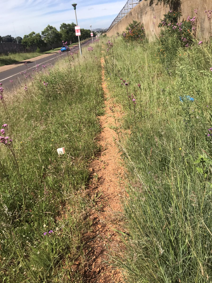 Dalene Stiff tweet media