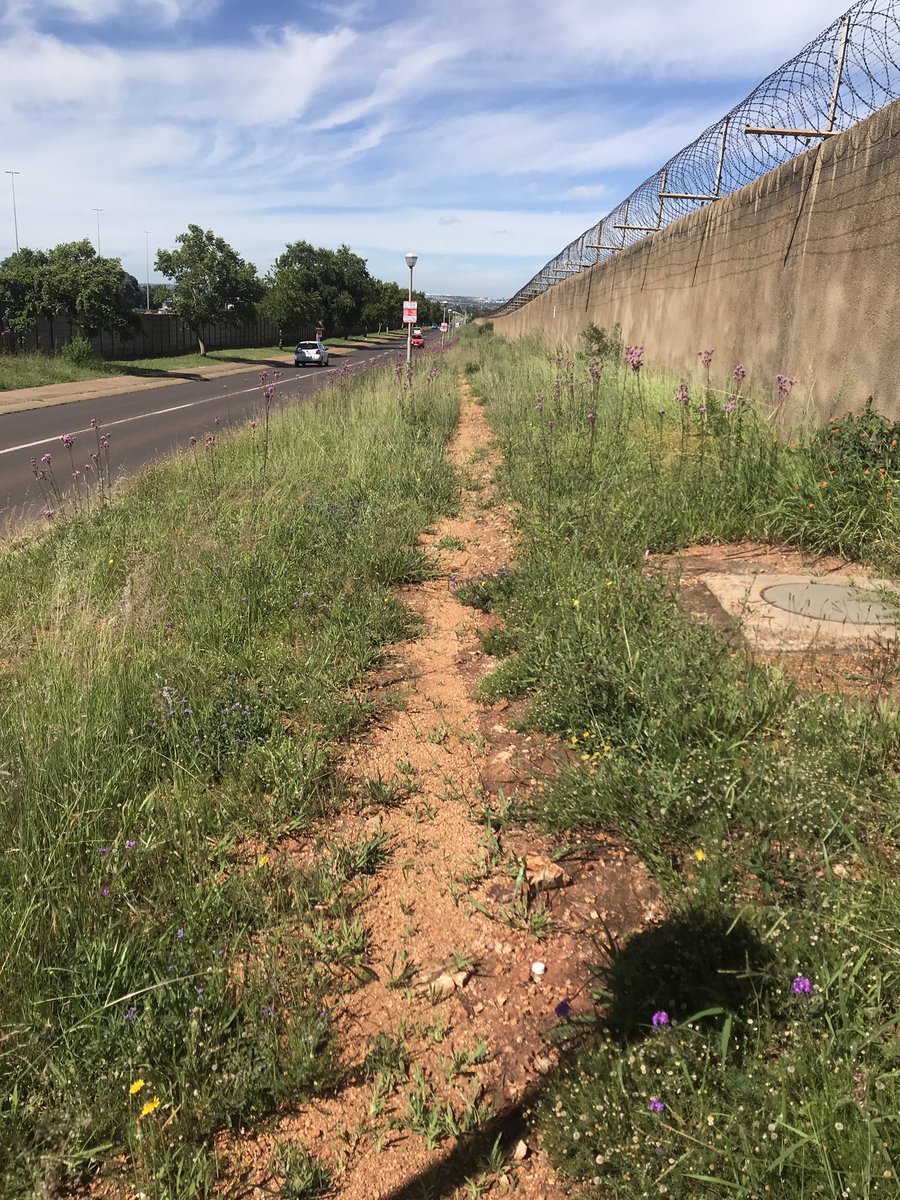 Dalene Stiff tweet media