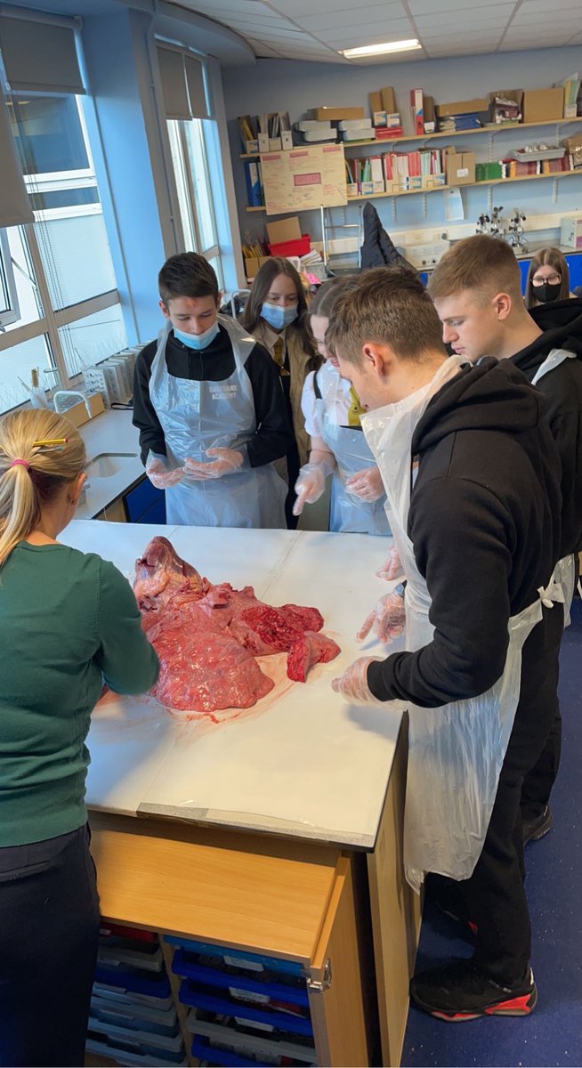 AcademyEastbank's tweet photo. Lots of fun and learning with dissections this week and so many questions! Huge thank you to Charlieβs Butchers in The Forge ππ»ππΌ #eastbankacademy #science #curiosity #Nat5Bio #HigherBio #sheepshearts #cowskidney #oxspluck β€οΈπππͺπ©Έ https://t.co/muXShzRoO4