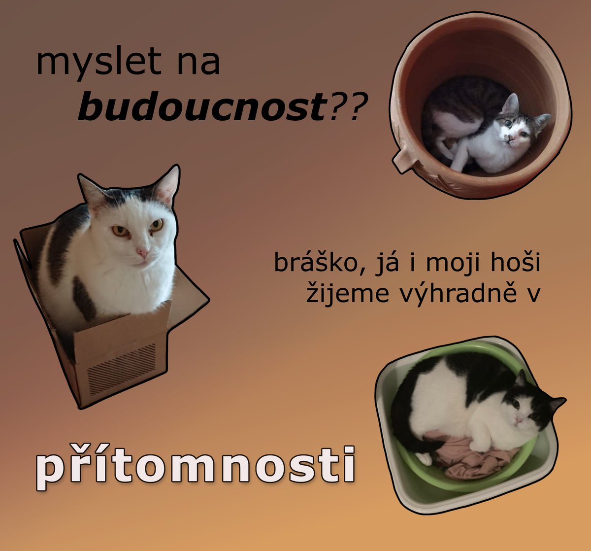 memozrnnost's tweet photo. https://t.co/MW3NCiKFeA