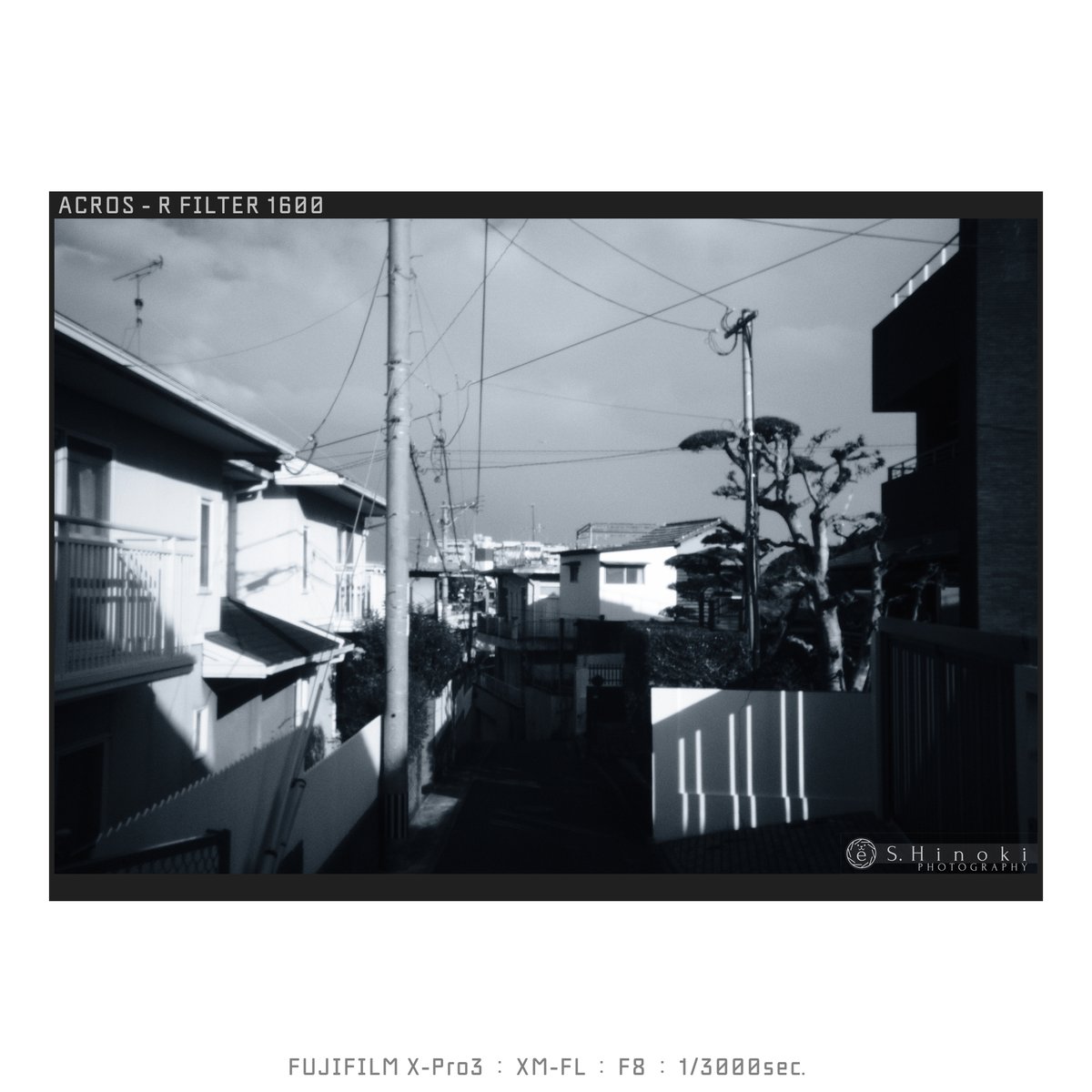euclid890's tweet photo. 松煙墨調
FUJIFILM X-Pro3
XM-FL
#FUJIFILM_XSeries #XPro3 #XMFL #ACROS #RedFilter #Lofigrapher #Snapshooter https://t.co/bNfqUzkGJo