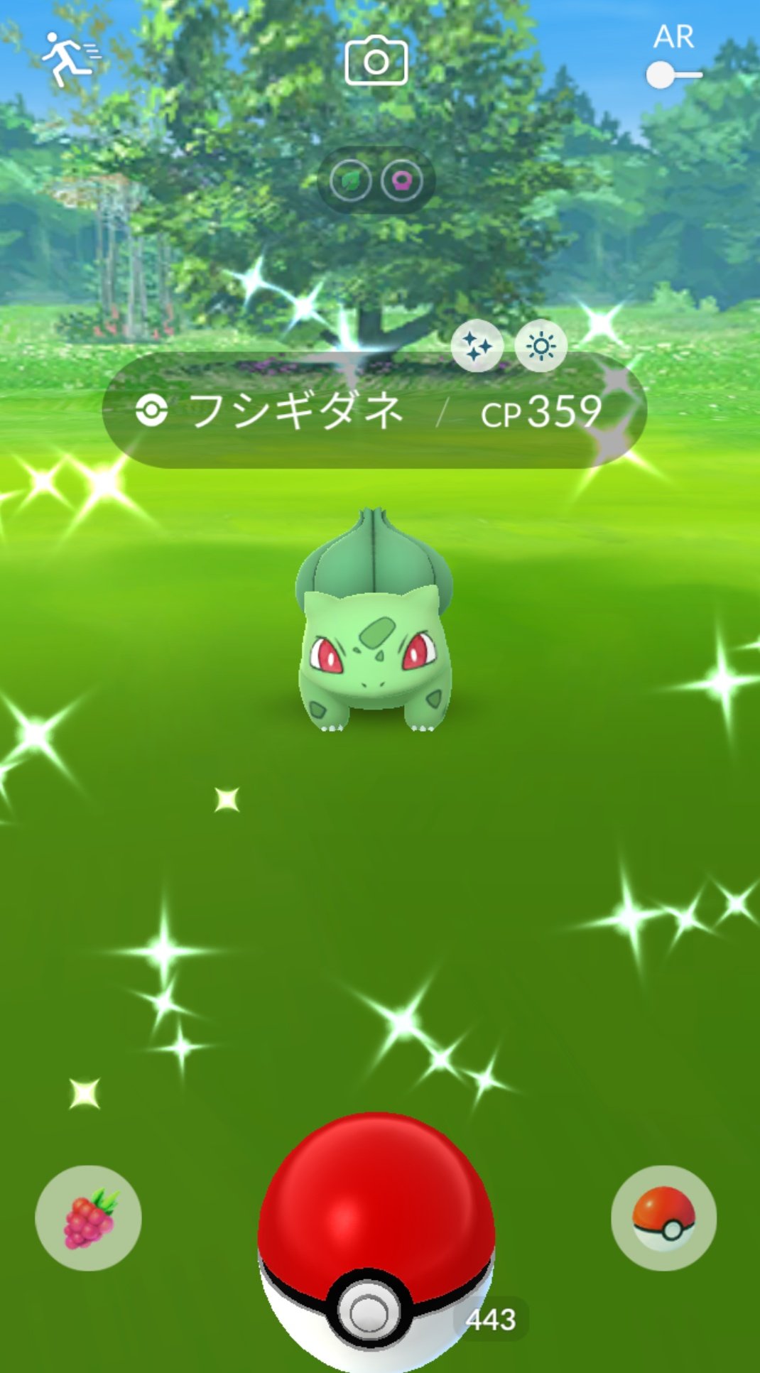 かっちゃん ８ ６ ８gofest札幌 今日ポケモンｇｏでゲットした色違いポケモン 色 フシギダネ 匹目 スーパーボールときんのズリのみを２個ずつ使ってゲットしました 復刻フシギダネのコミュニティデイ開始２匹目で出現 そして