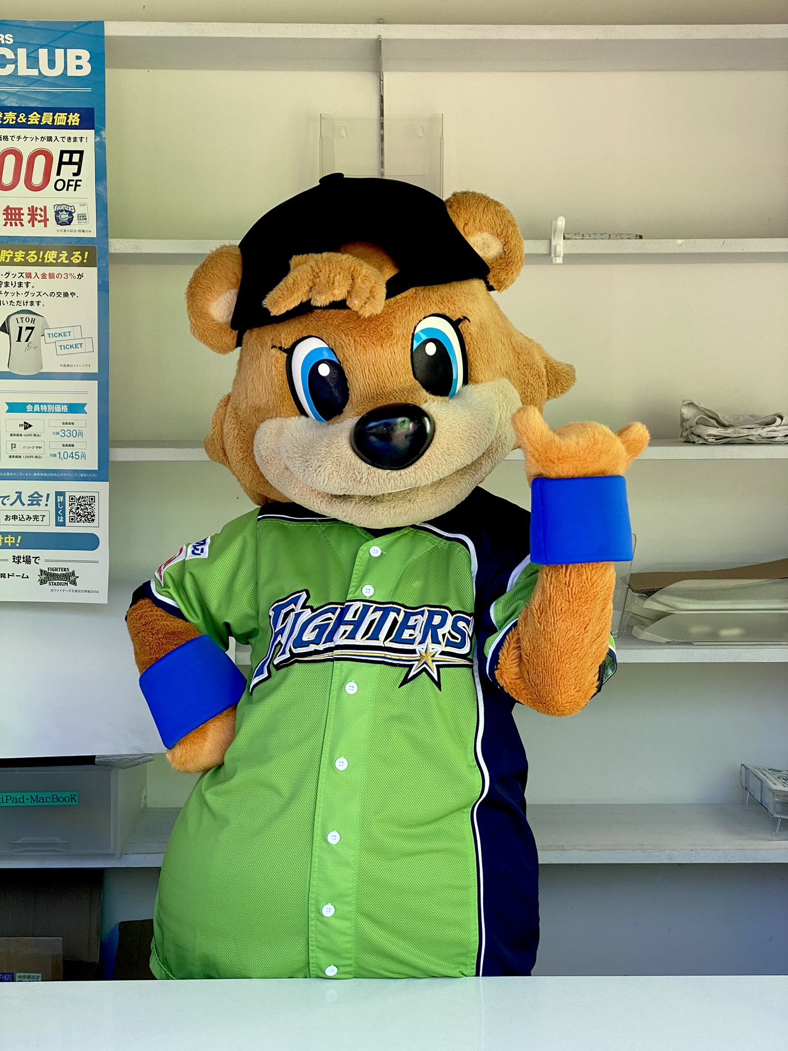 日ハム ファイターズ ぶらさがり B B ぬいぐるみ 手長 北海道日ハム す