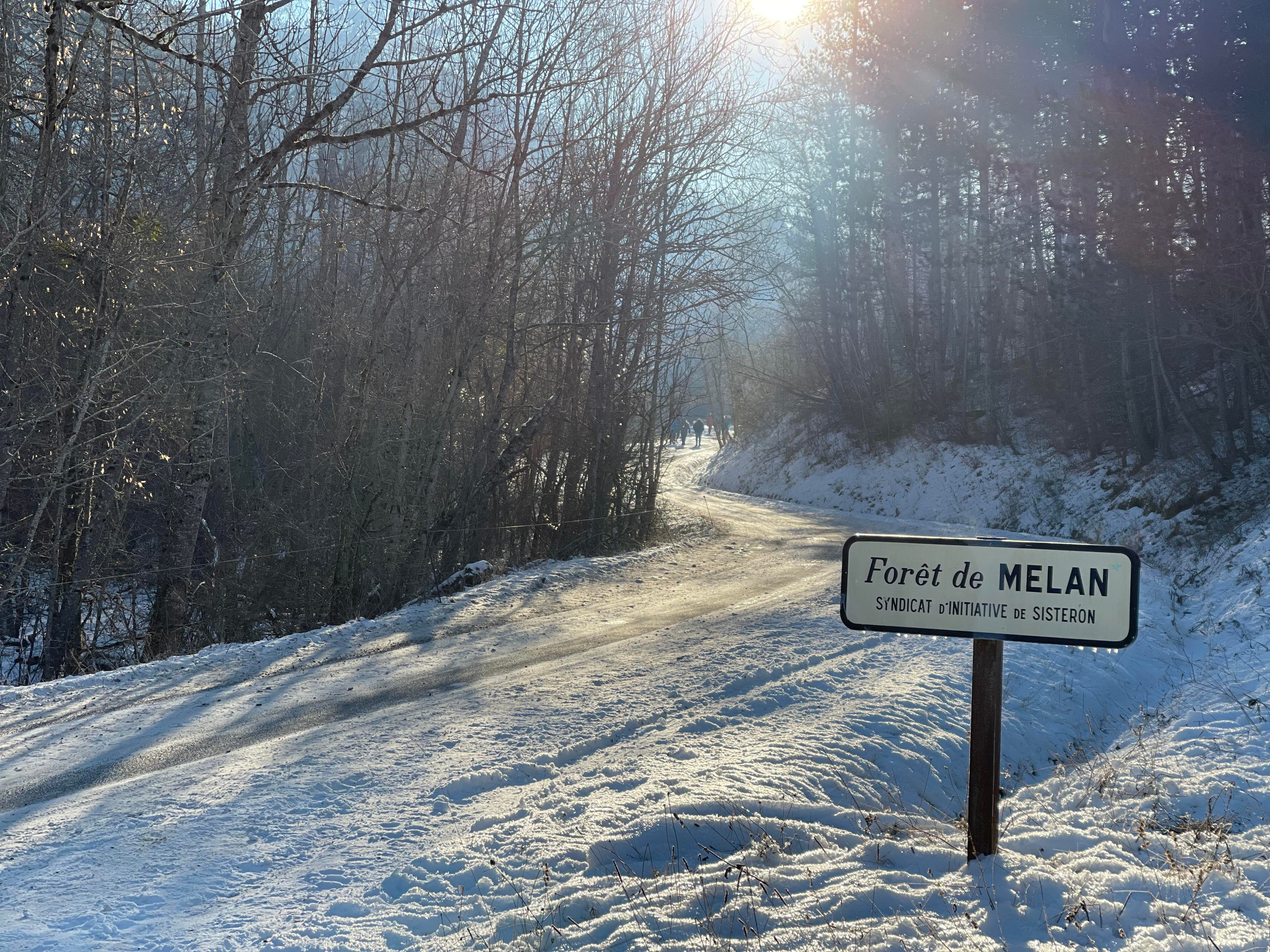 WRC: 90º Rallye Automobile de Monte-Carlo [17-23 Enero] - Página 5 FJsbFwQX0AENNTP?format=jpg&name=4096x4096