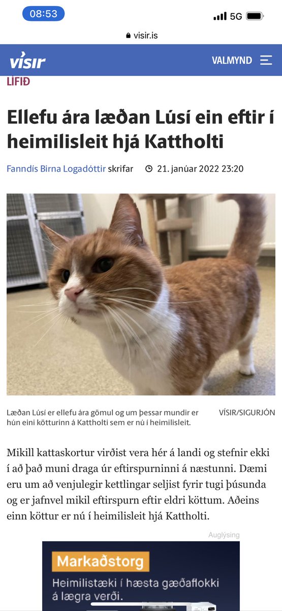 Einhver að ættleiða hana NÚNA. Og biðjumst öll afsökunar.