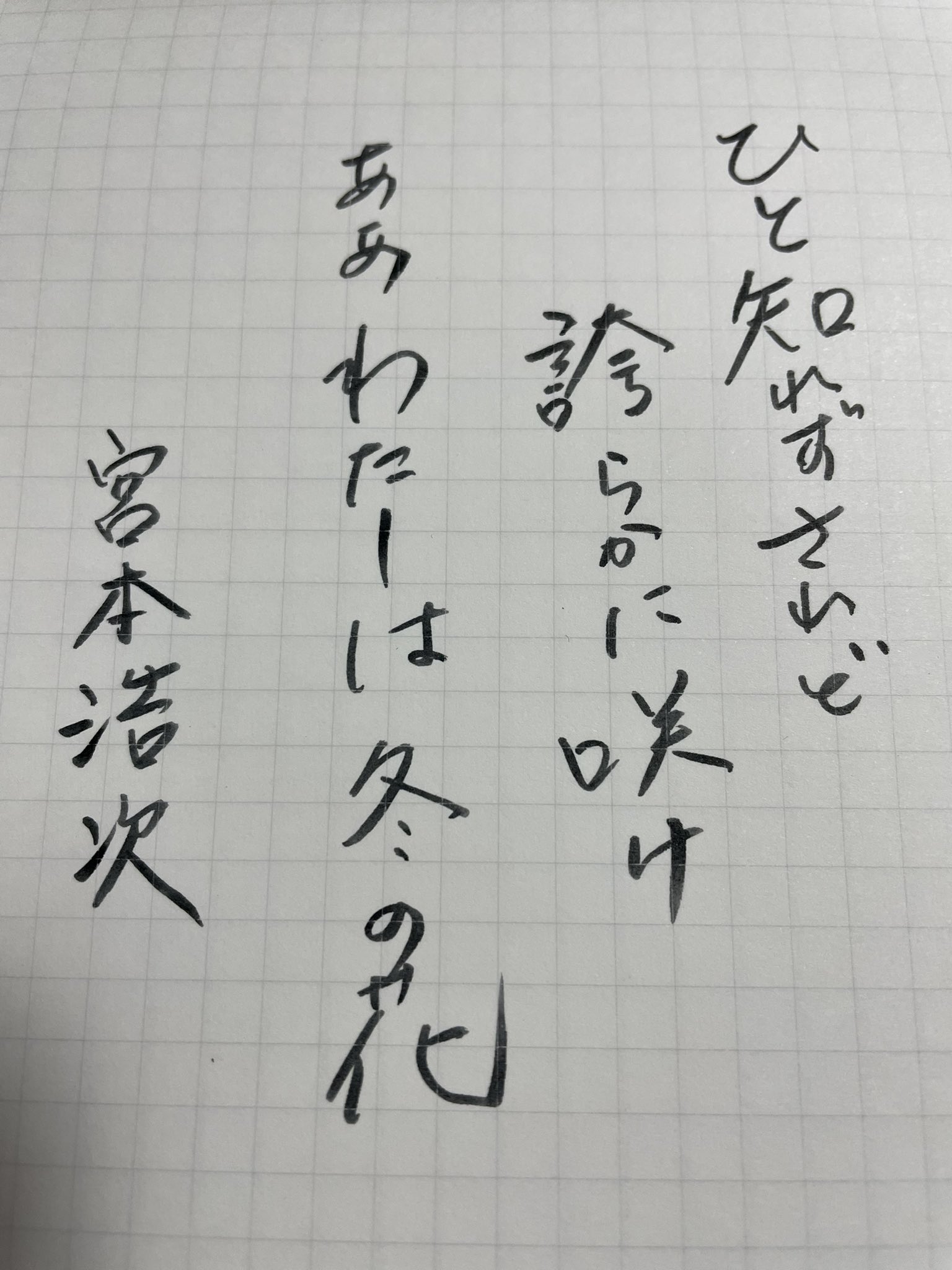 冬の花 Cerca Su Twitter Twitter