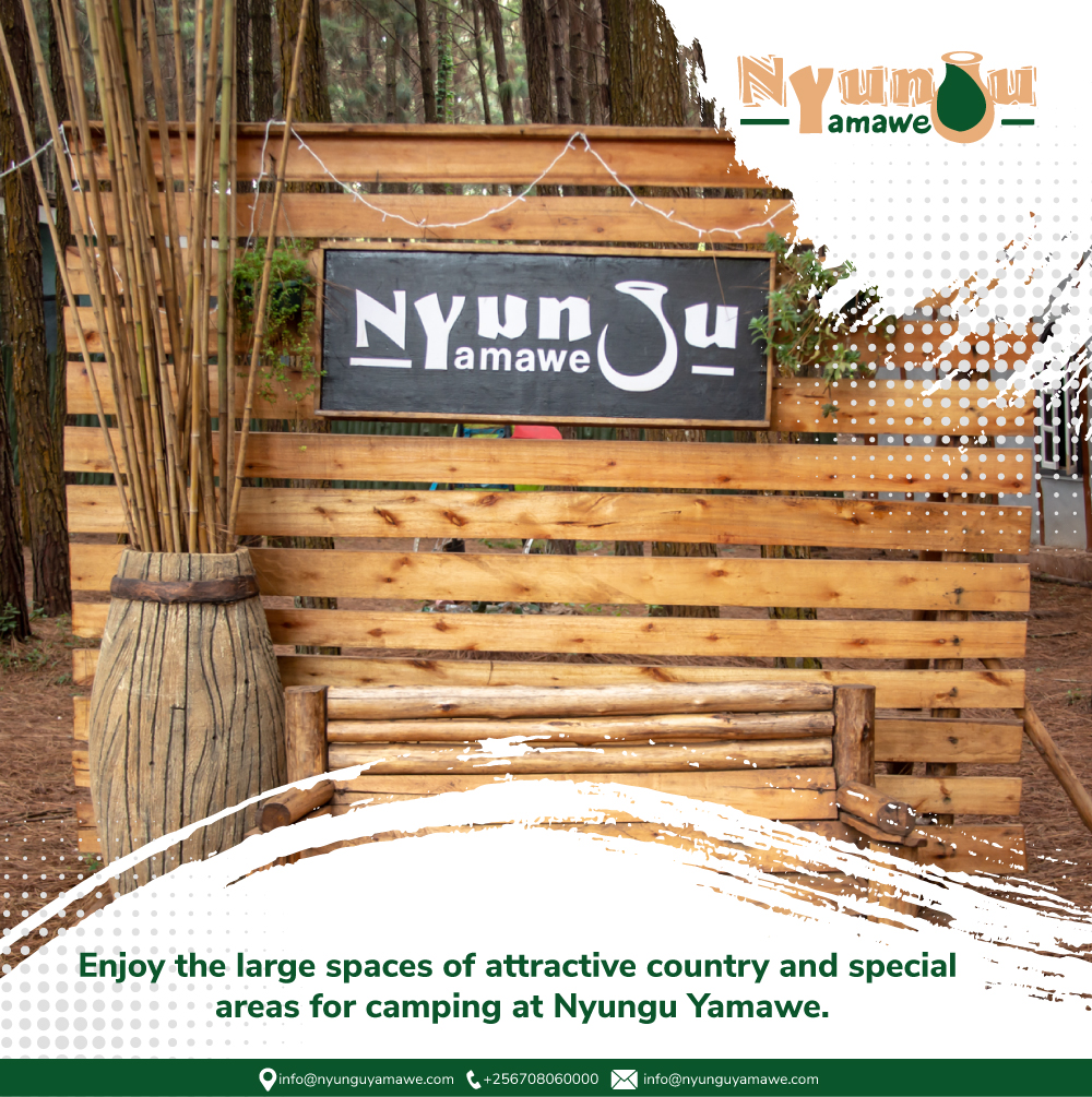 _NyunguYaMawe's tweet photo. Enjoy the large spaces of attractive country and special areas for camping at Nyungu Yamawe.

#attractivecountry #largespaces #nyunguyamawe https://t.co/mQJaMy6wxs