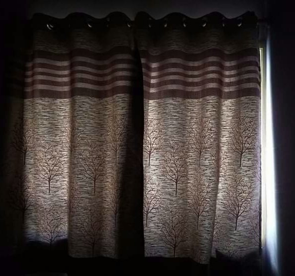 Madhumathi_Inks's tweet photo. "In silence
The dreams are woven, while dressing the wounds
The veils around
Let them be
. . .
the cocoon
It is not lonely
But chose to be alone
A warm, nurturing silence
To breathe peace
Meditate life..."
#Cocoon #Therapy #shell #RespectSilence #RespectSpace #Healing https://t.co/4vM6u1ztHB