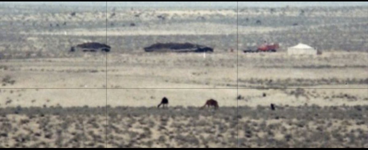 في خدها ربيعٍ عليه البدو حيالي .