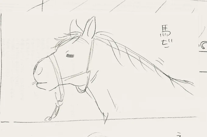 馬です 