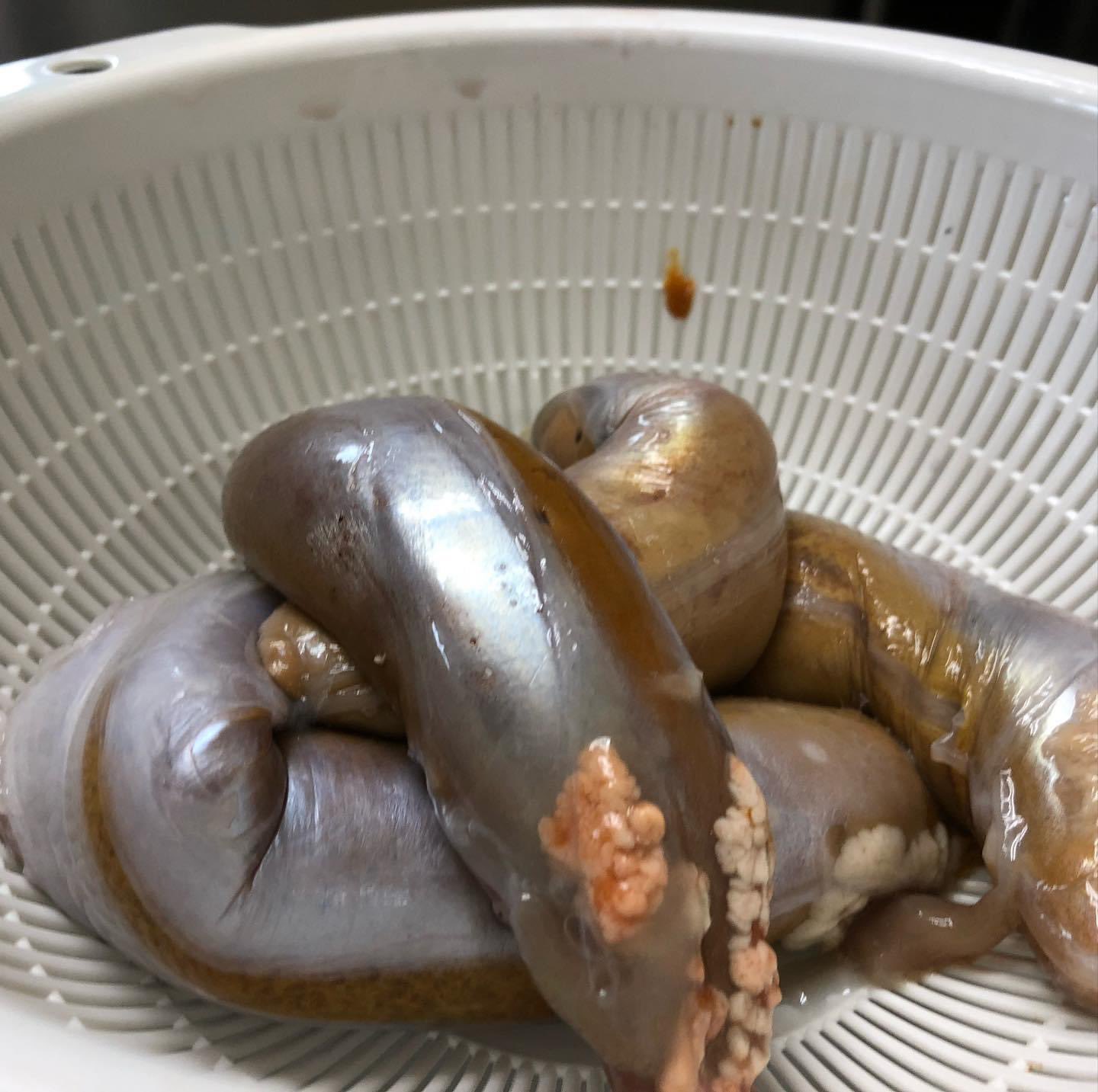 イカ屋 荘三郎 のりまさ店長です 欠品していた イカわたルイベ漬 の再販を開始しました イカのワタの本来の味を愉しみたいのであれば塩味 食べやすいのはいかのふっくら焼のタレで味付けした醤油味 辛いのが苦手でなければ辛味噌味 T Co