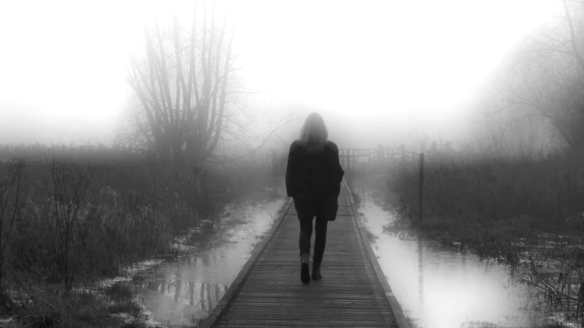 Amanda Lehmann tweet media