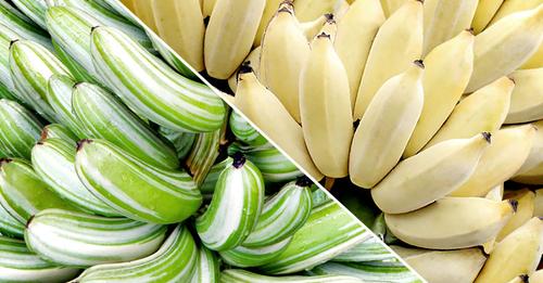Какие бывают бананы. Сорта бананов. Необычные сорта бананов. Полосатые бананы. Сорт голубых бананов.