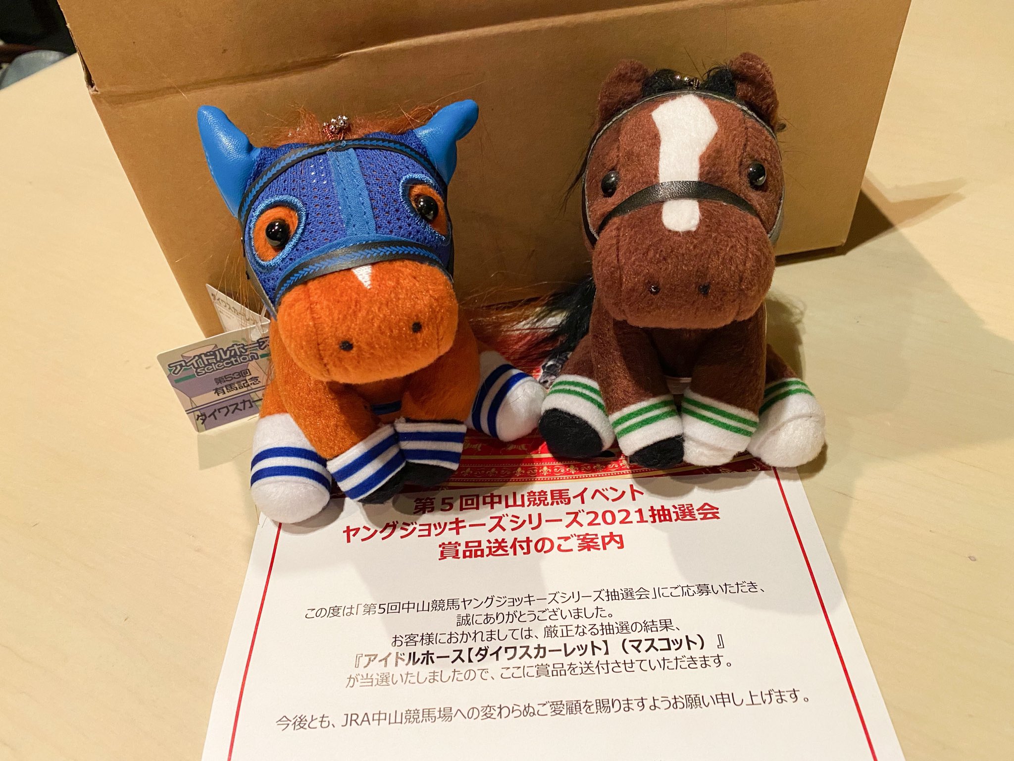 アイドルホースぬいぐるみ ダイワスカーレットセット 非売品 ダイワスカーレット 第53回有馬記念 アイドルホース
