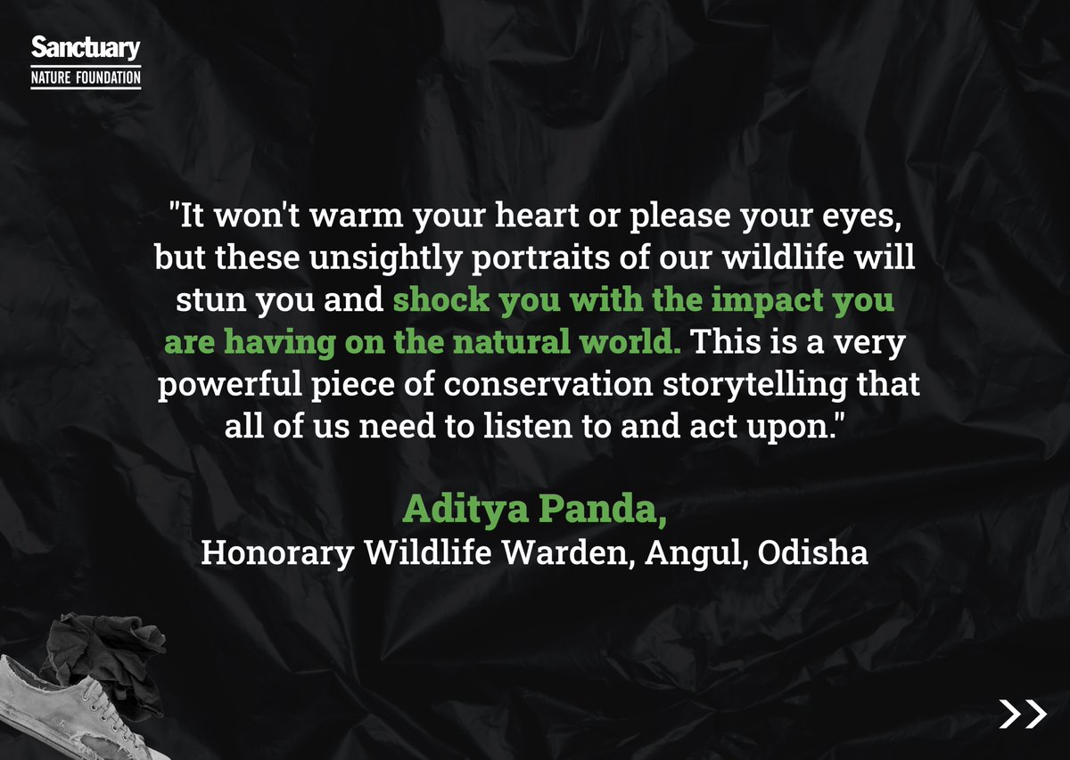 SanctuaryAsia's tweet photo. @AdityaPanda selected the #InOurFilth photo project as his favourite photo essay of 2021 for @RGSustain1. Here's what he had to say: 

7/n https://t.co/8VH346X1yL