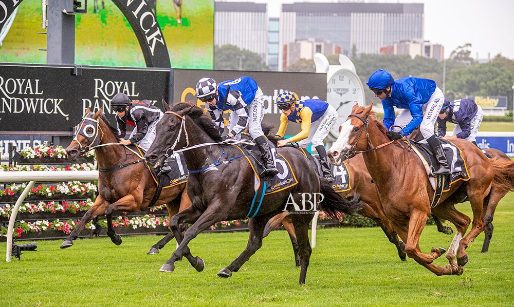 Jungle_Edge's tweet photo. @ashbrennanphoto @Leesracing @SchofieldGlyn @TDNAusNZ @racing_nsw @ausbloodstock2 @Austbloodstock @aus_turf_club Many more victories to come from this good looking rooster! #jungleform #winnerskeepwinning #fromthearchives https://t.co/erg8FS7nZP