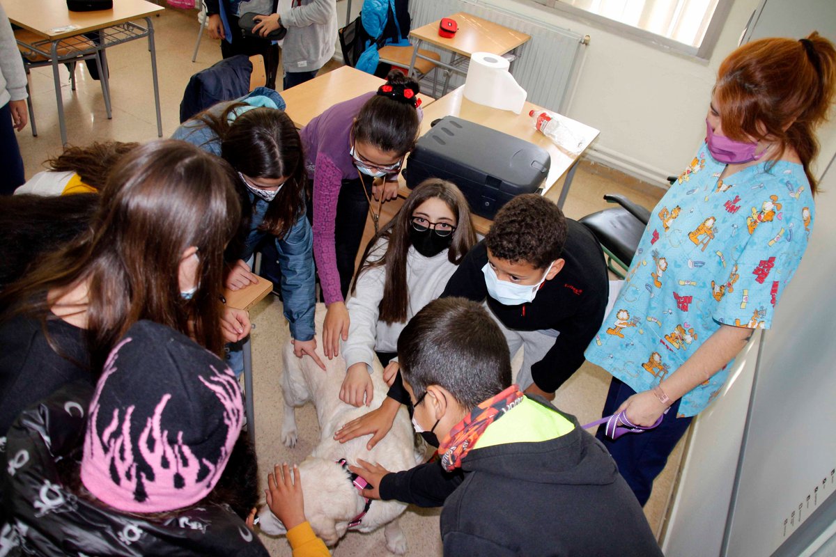 VeteriLleida's tweet photo. 🐶😺 Al voltant d’uns 1.000 alumnes d’instituts de Lleida han participat en els tallers de tinença responsable d’animals de companyia ‘El Xipi va a l’Institut’.
ℹ️Coneix més detalls - https://t.co/Zmy90mdtrE https://t.co/hpl1u3DN8F
