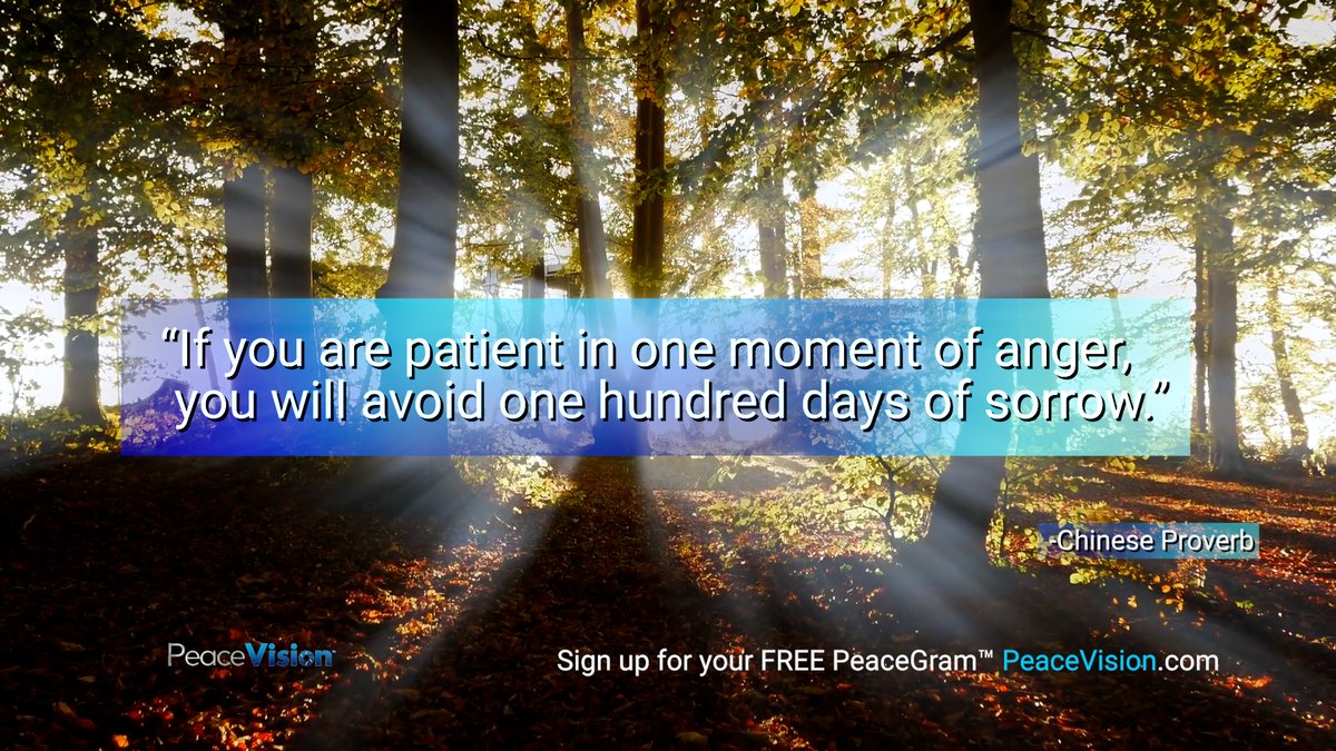 PeaceVision_ tweet picture