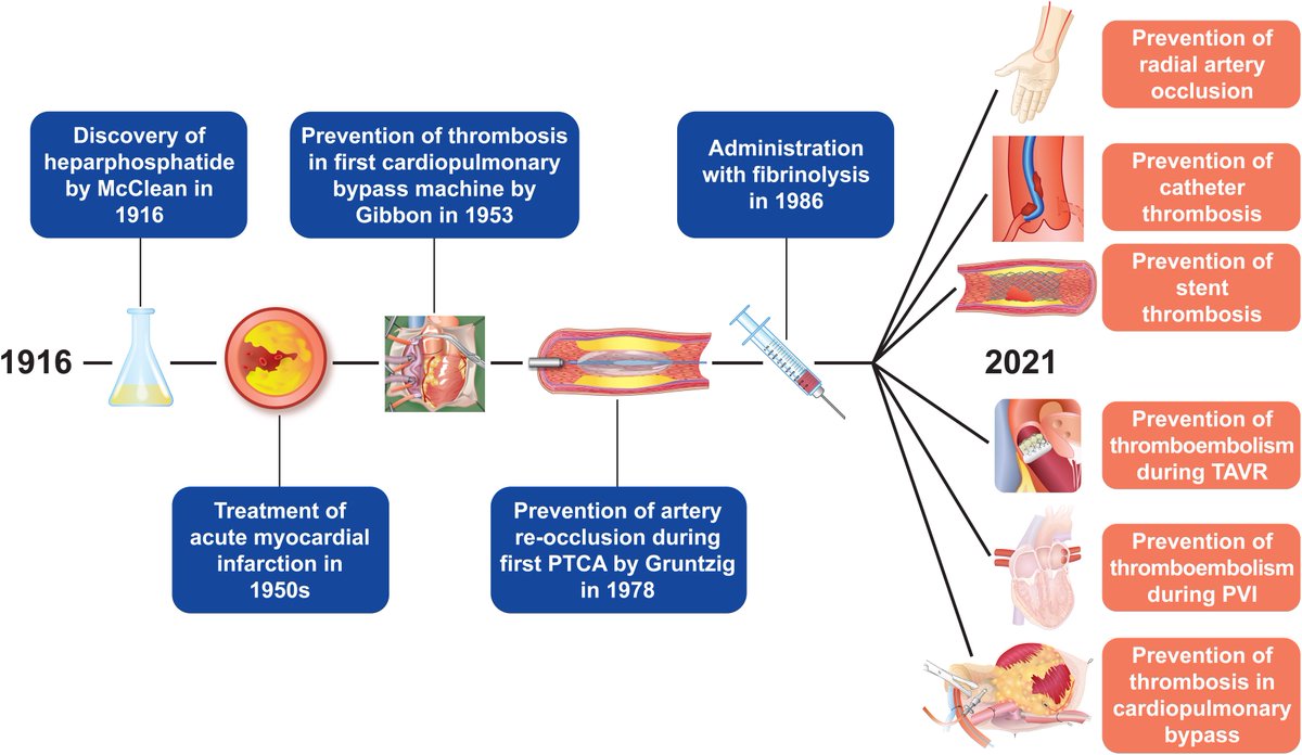 ehj_ed's tweet photo. Viewpoint on unfractionated heparin: the only parenteral reversible anticoagulant with short half-life, safe in kidney disease,  commonly used in  cardiovascular procedures! 
#heparin #cardiovascular #safety #ehj #cardiotwitter @escardio @ESC_Journals 

https://t.co/nD3xKA1nr6 https://t.co/N3aJICDs9f