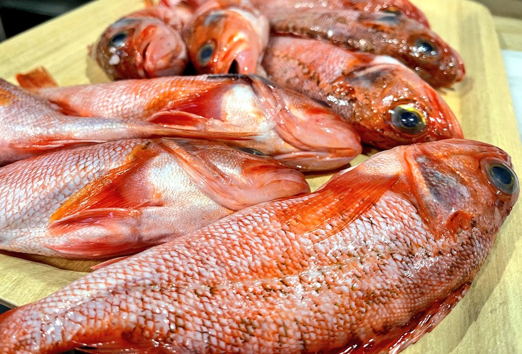 旬魚旬菜 仁 みやぎ食材伝道士の和食 石巻のどぐろ と呼ばれる魚です ですが ややこしいことに 北陸のノドグロとは種類が 違います あちらは赤ムツで こちらはユメカサゴと 実は種類が異なります いわゆる磯の魚 カサゴの仲間ですから やっぱり煮付けや