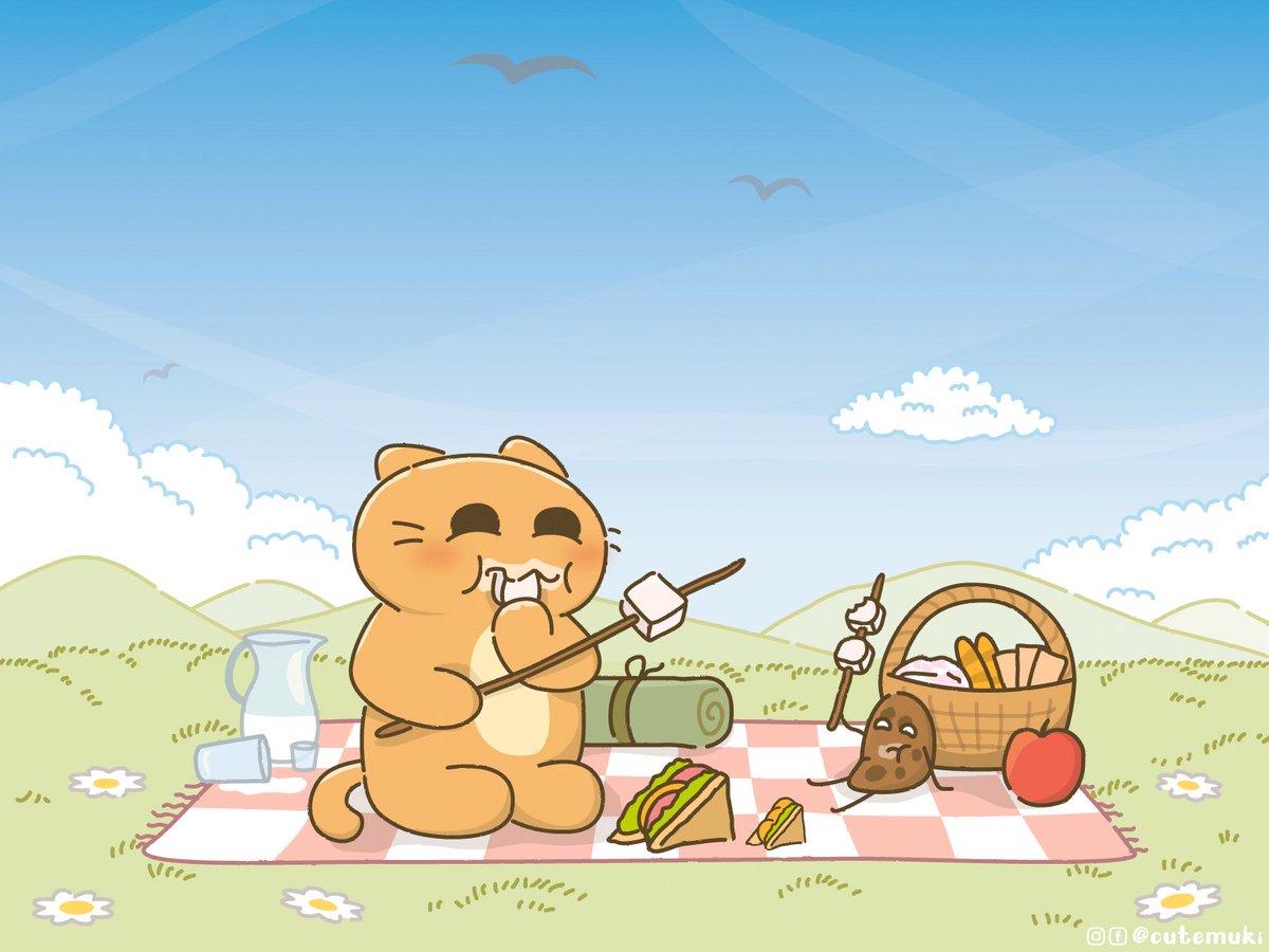 cat_muki's tweet photo. Muki is on picnic! ☀️

#cat #muki #cute #cookie #picnic #nature #comfy #sandwich #marshmallows https://t.co/spxvzFGHFY