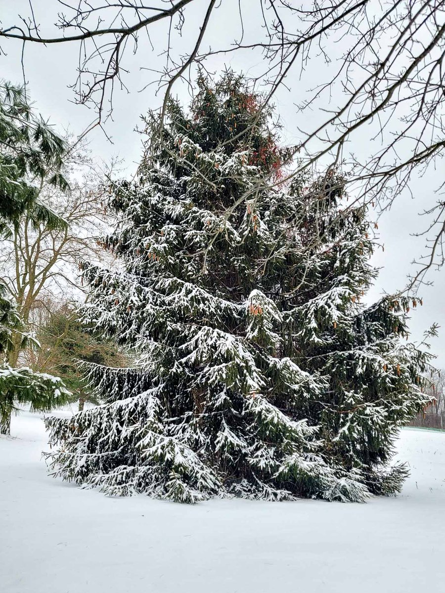 The Little Things Newsletter #296 – Life, laughter, and lots of great food! dlvr.it/SHbXs6 by <a href="/BarefeetKitchen/">Mary Younkin</a>