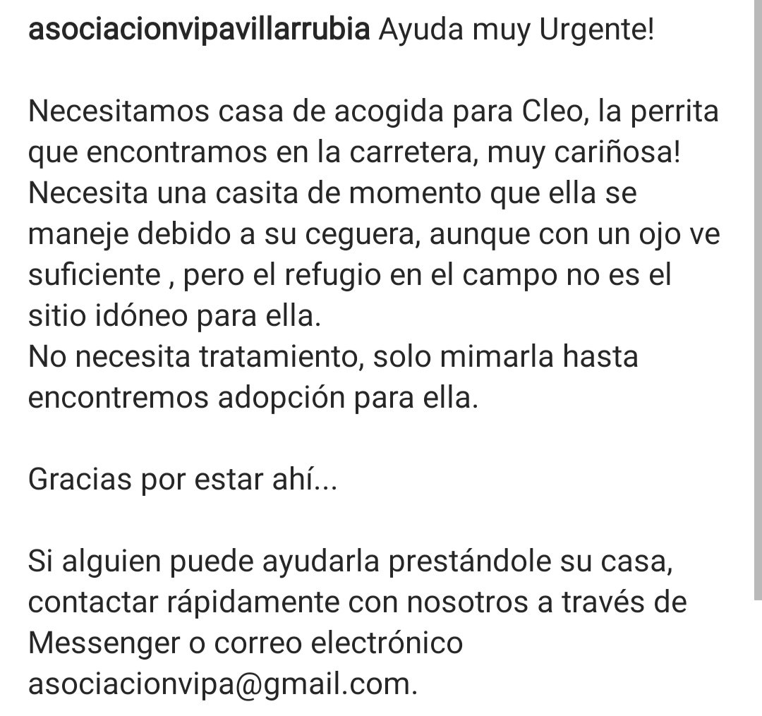 ⚠️URGENTE⚠️ Está perrita ciega necesita que alguien la acoja en su casa un tiempo hasta que encuentre alguien que la quiera adoptar. Difusión por favor 🙏
<a href="/wikiCR/">wikiCR Ciudad Real</a>