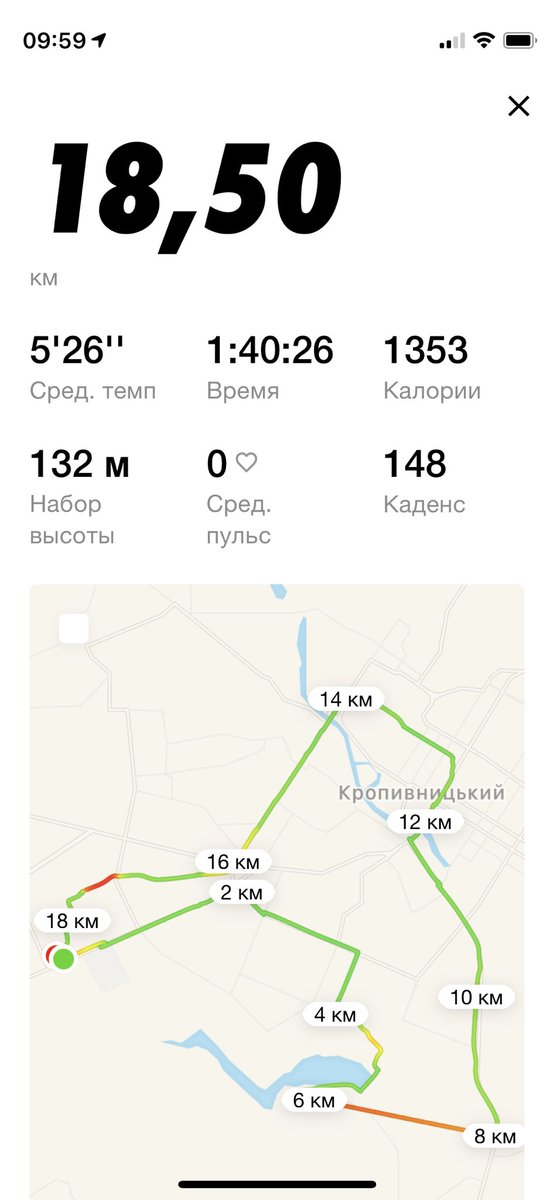 jogging is a good guarantee of a successful day 🏃🏃🏃