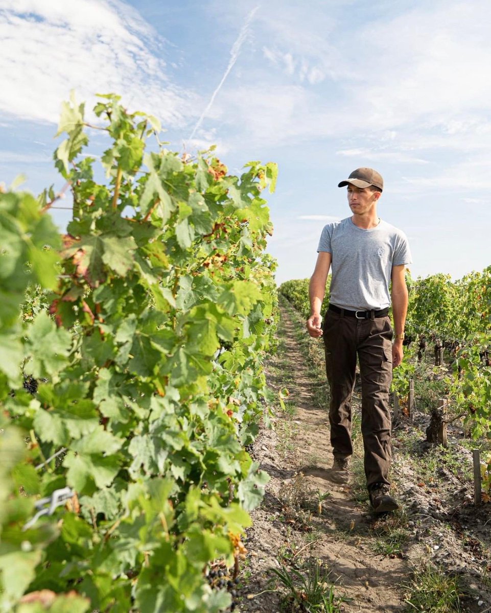 VinsdeBordeaux's tweet photo. Bonne fête à tous nos #vignerons 🧑🏻‍🌾���� c’est la #SaintVincent aujourd’hui !
💚 Merci à vous de créer des #vinsdeBordeaux toujours plus #engagés pour l’environnement 🌍 https://t.co/LkrWkEt5gN