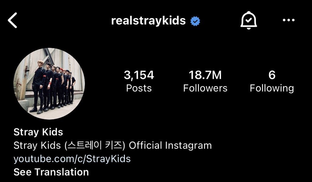 0hnolix's tweet photo. If realstraykids reach 20M before the fanmeeting I’m buying everyone who RT this kpop merch https://t.co/7JA1VxrWWj