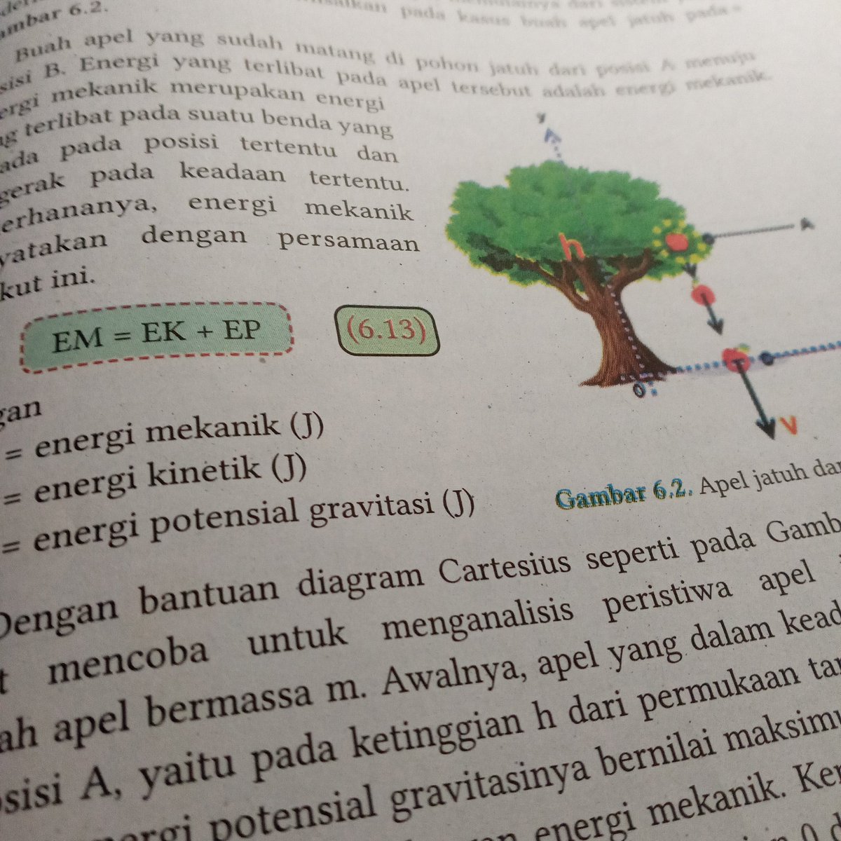 02ENHP tweet picture
