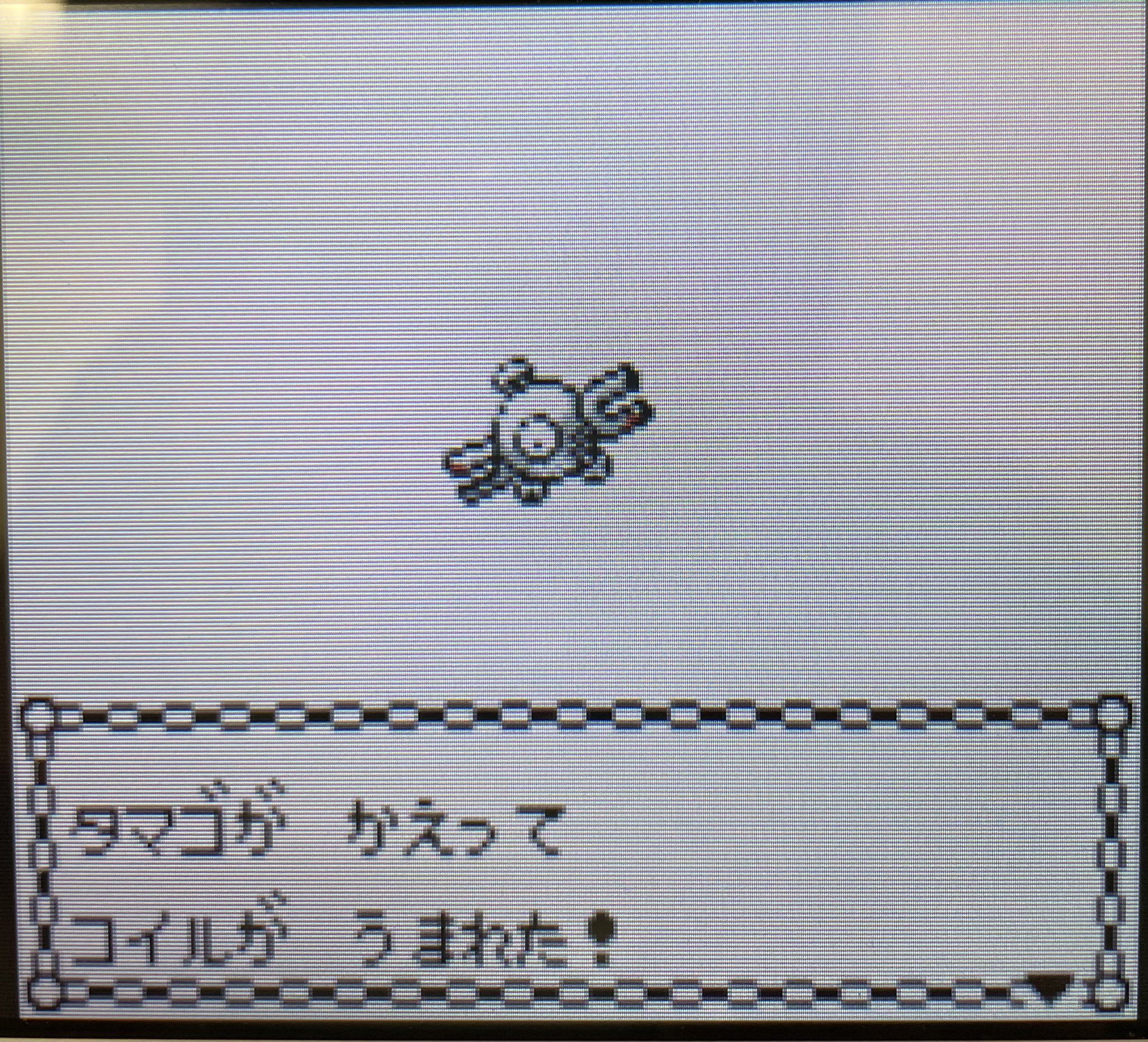 ツボアニ 本日2体目の色違い誕生です みんなが大好きコイルちゃん ポケモン金銀クリスタル T Co Orrv0otwzo Twitter