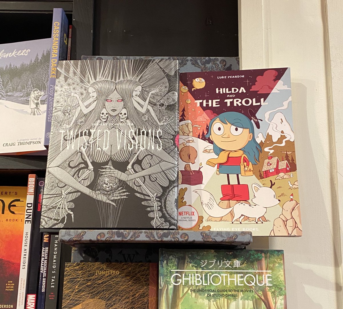 two kinds of graphic novel reader…