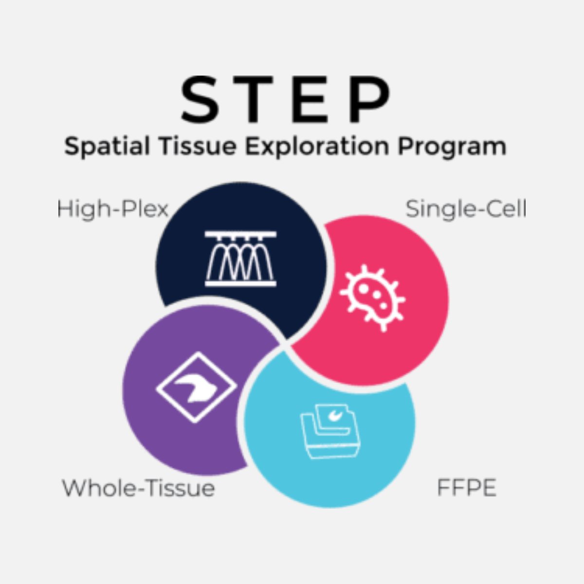 AkoyaBio's tweet image. Need help designing/executing your tissue projects? Apply for the Spatial Tissue Exploration Program (STEP), a technology access opportunity for researchers to explore new levels of #spatialinsights powered by the #PhenoCycler™ workflow (formerly CODEX®). bit.ly/3rqZazb