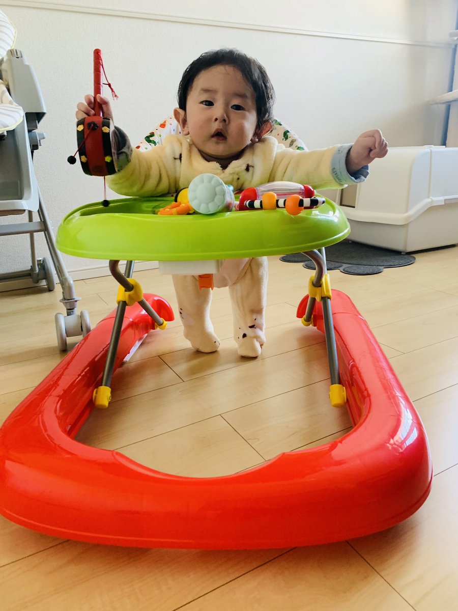 3_hinya's tweet photo. 私の息子可愛すぎてもう溺愛。
何この生物本当に可愛いんだけど無理。
シャウトされる時は本当に地獄だけど毎日毎日たくさん笑って沢山寝てママの抱っこじゃないと寝れない〜ってするの本当に可愛い。
一生息子たんの笑顔を守るよ☺
ママ頑張るね🥰 https://t.co/6oAnx0NcW8