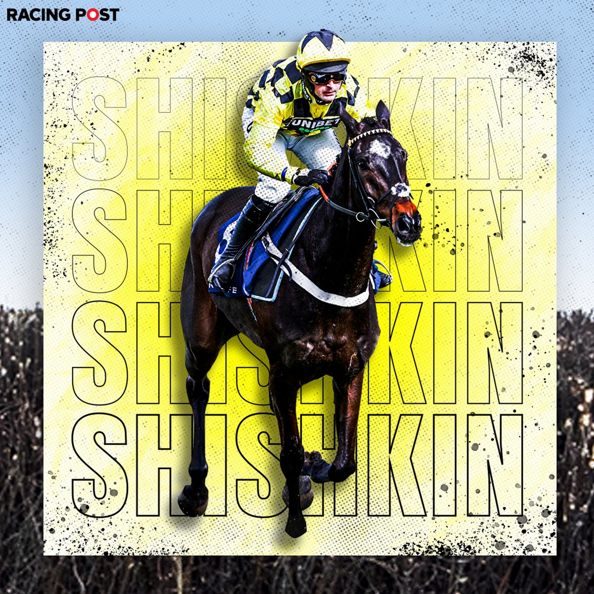SHISHKIN WINS THE CLARENCE HOUSE CHASE! 🎉