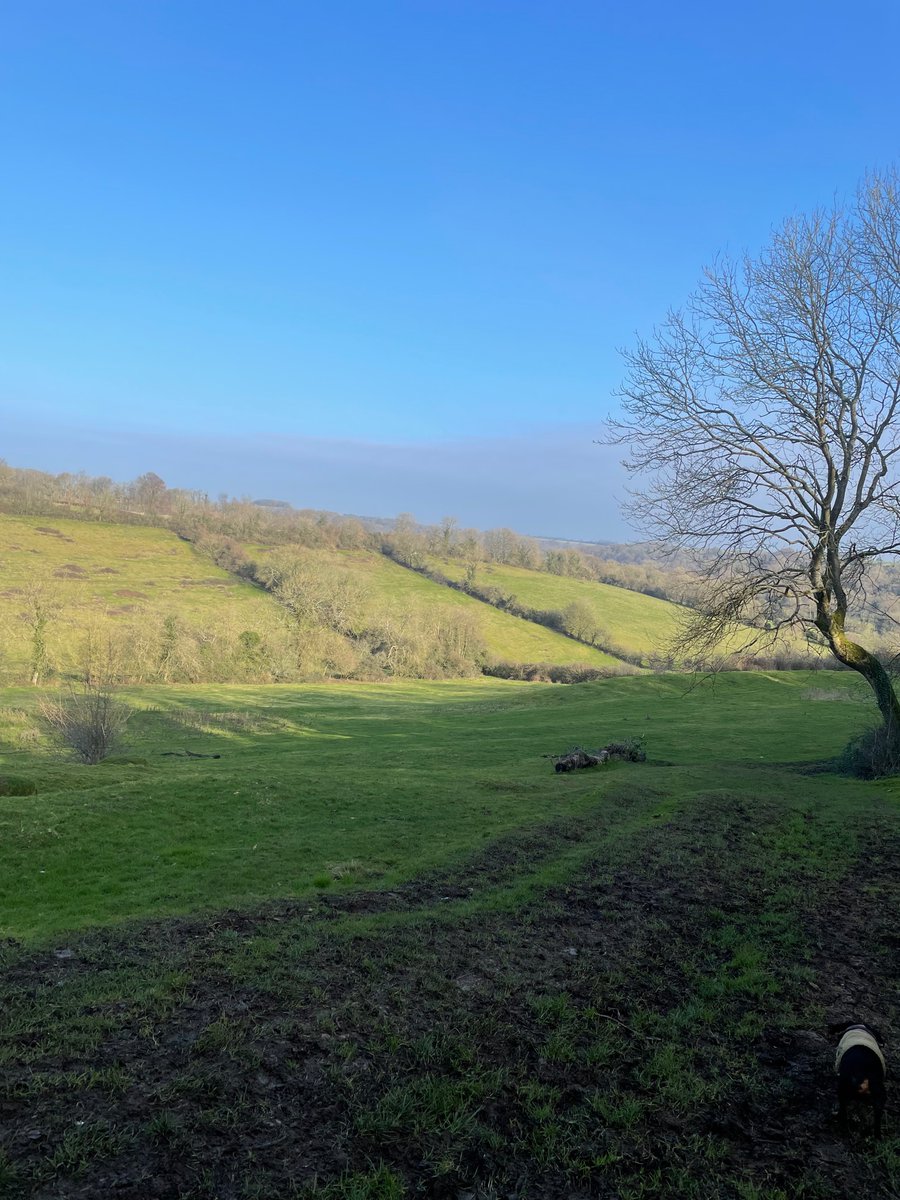 S_A_R_Lab's tweet photo. Lovely crisp morning walk on Hawkesbury circular 5.5 miles in the cotswolds #dogsofgameaudio https://t.co/XGjuFIfwLC