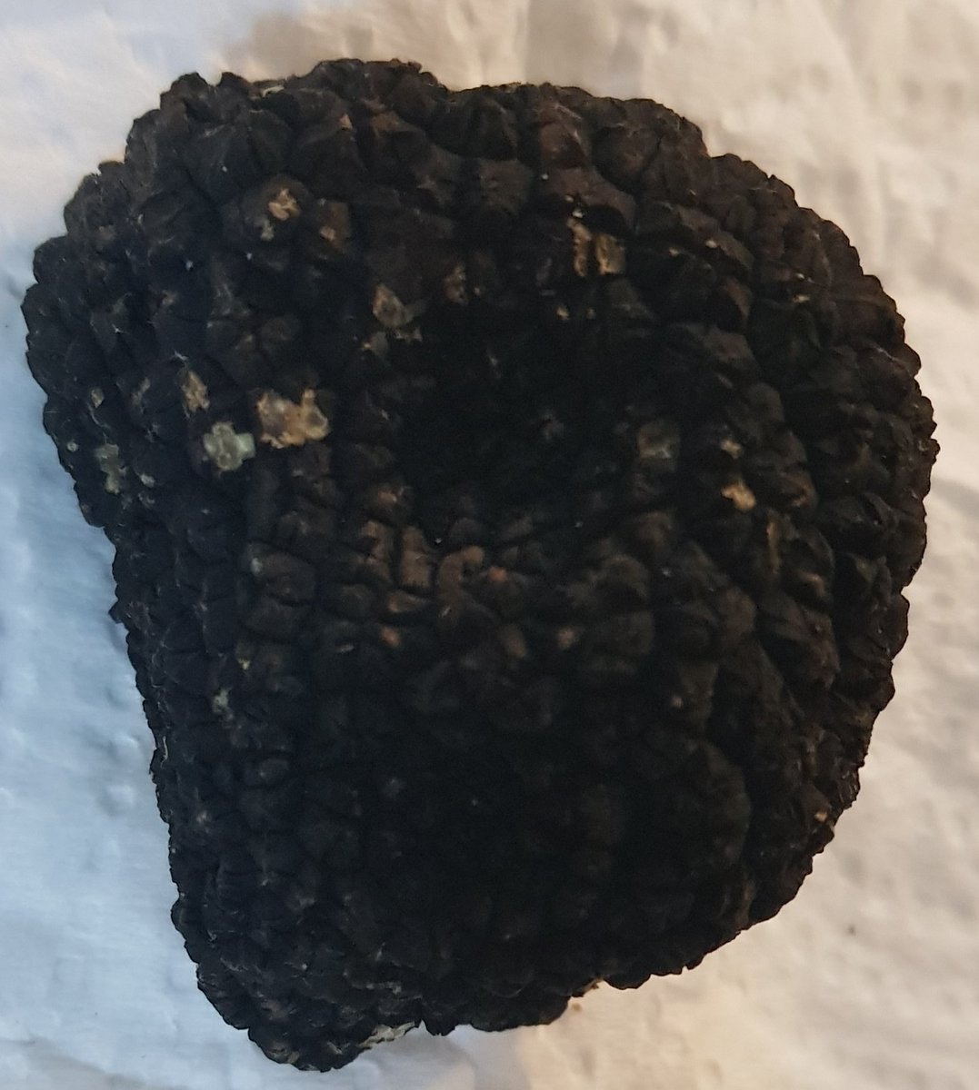 Just received delivery of some lovely nutty, earthy tasting British Truffle.  We are using the truffle to infuse some pure British honey.  Watch out in a few weeks for availability on our web site, this is something truely special.

#truffle #British #uniquegifts #uk