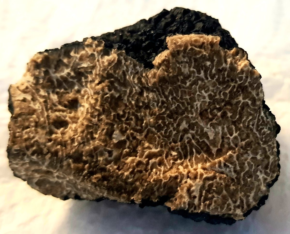 Bees & Co. tweet media