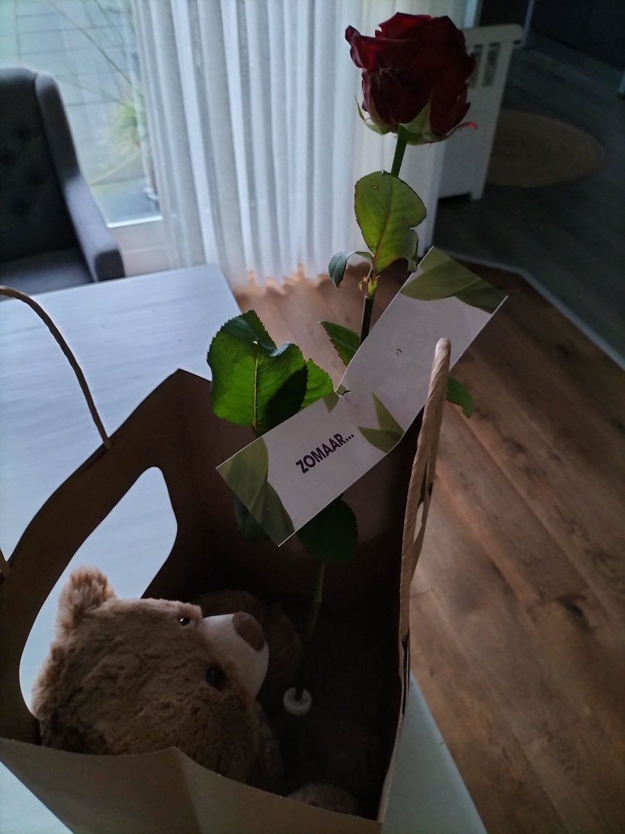 Monique_03809's tweet photo. Kom je thuis ....😳 🌹🐻
T'is nog niet eens Valentijnsdag 😬
Zomaar ;) ...op 't kaartje.
#dontknowwho...🤭😊
#thanks
#sweet
Dammie !! 🥺 Ben me gek aan het prakiseren...🤔🥴😂 https://t.co/Eh5cxIjE2r