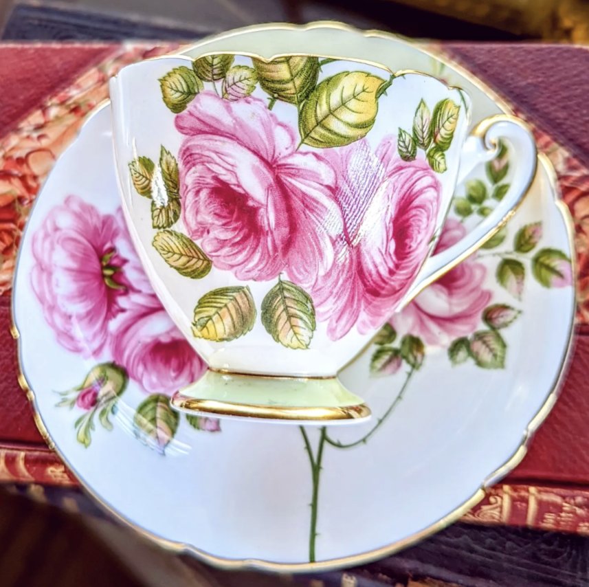 Shelley doing what it does best🥰
Lovely pink 'Rambler Rose' duo with mint green foot, cup bowl and saucer base! Those roses are just so lush!
#shelleychina #shelleyteacup #teacup #cabbagerose #teaparty #spillthetea #cupandsaucer #ValentinesDay