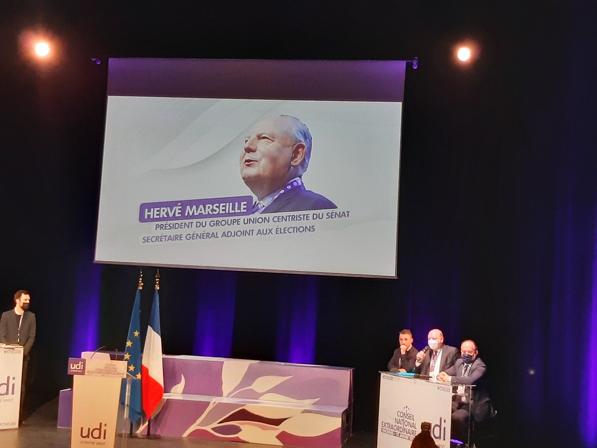 Ouverture du conseil national UDI.