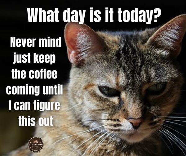 pinkmoon coffee tweet media