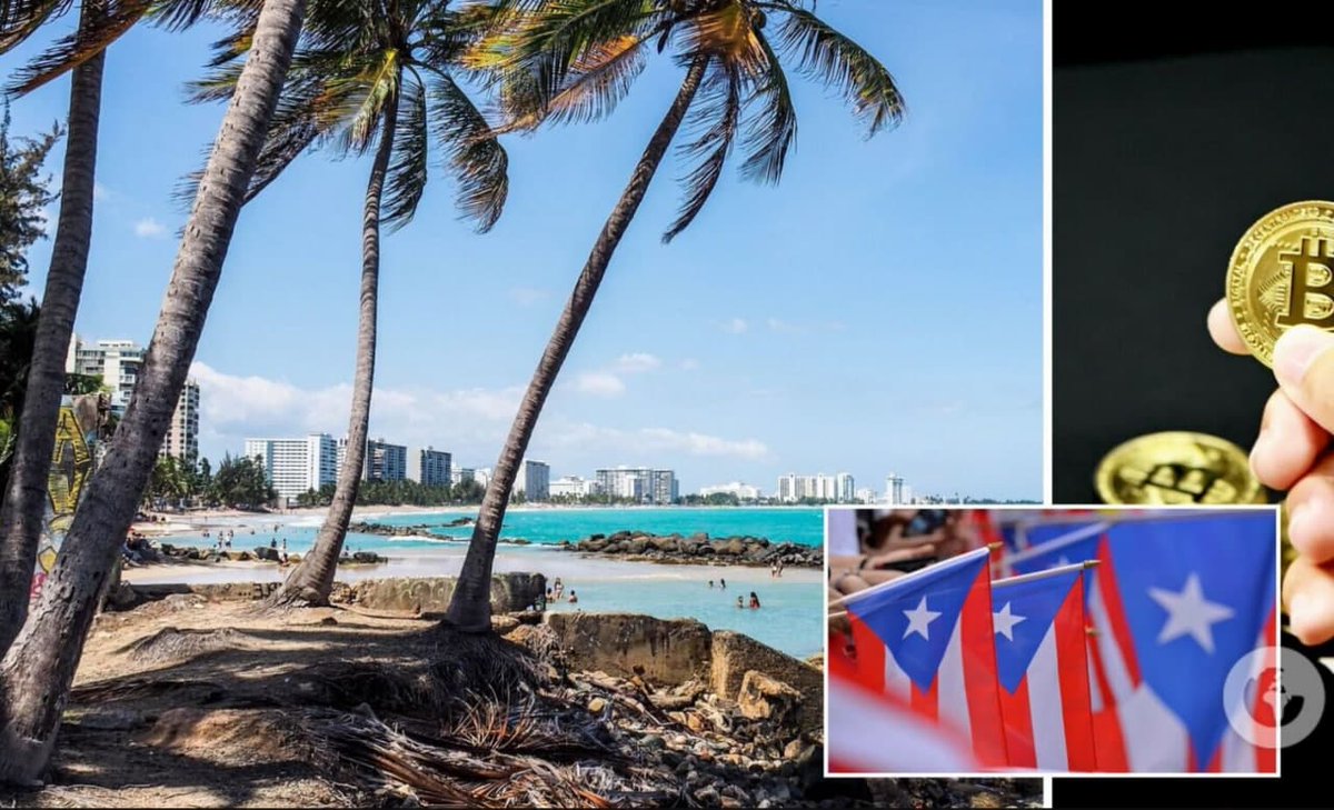 ₿ КРИПТО 24 tweet media