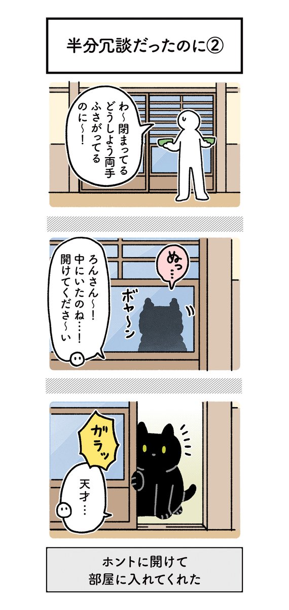 ねこ、絶対ことば通じとるな…あとお願いも結構聞いてくれるな…と確信する日々の絵日記 #ろんの絵日記 