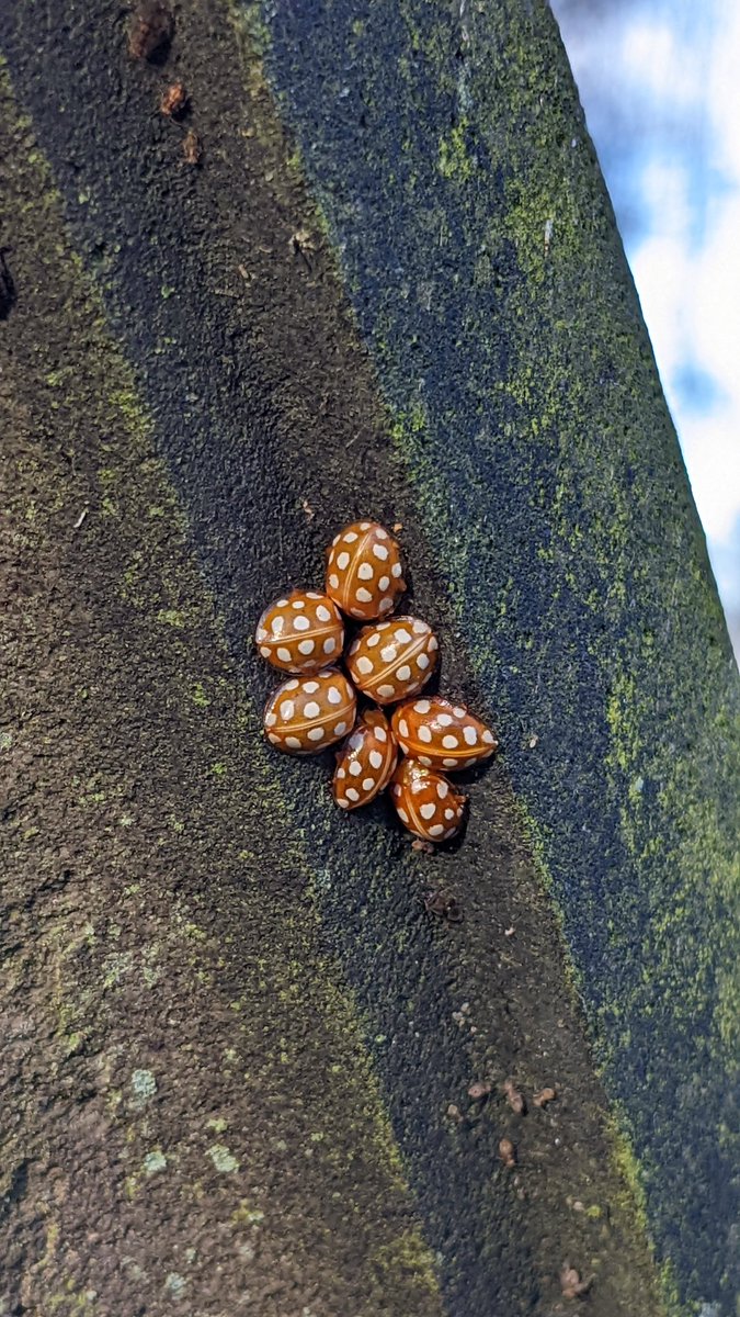 Matt Williamson tweet media