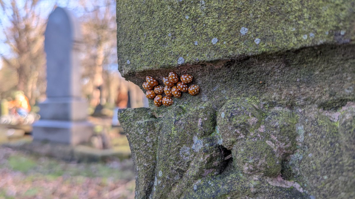 Matt Williamson tweet media