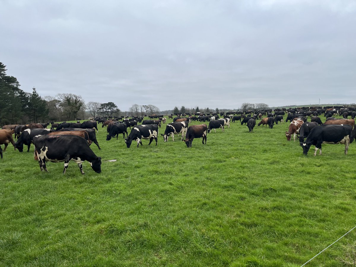 majorfarming's tweet photo. 2022 is a go. Super conditions for January https://t.co/teDjyOwG9N