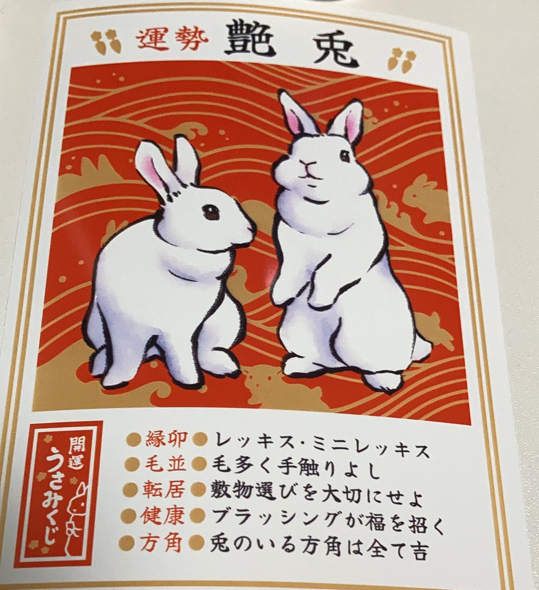 艶兎さんが当たりました！
 #開運兎2022